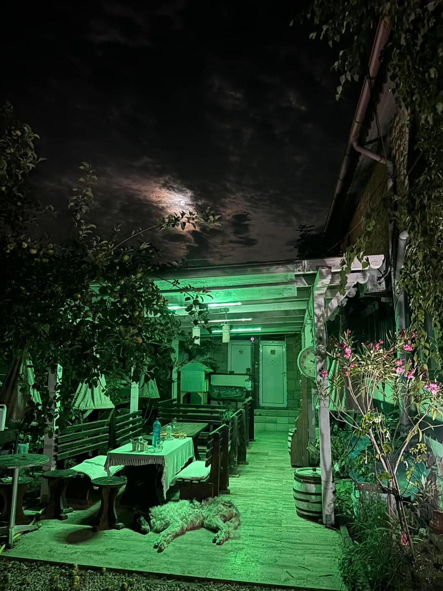 Hotel La Doi Pasi De Mare Vama Veche Exterior foto